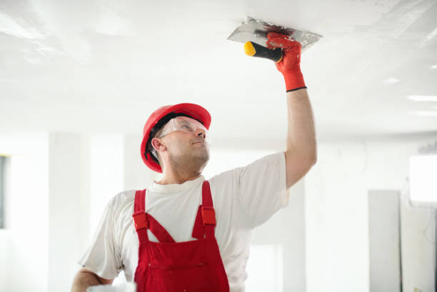 Best Water-Damaged Drywall Repair  in Jacinto City, TX